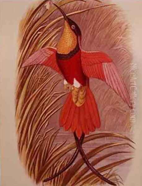 Humming Bird Crimson Topaz - view 1