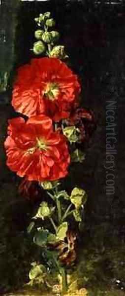 A Stockrose - view 1
