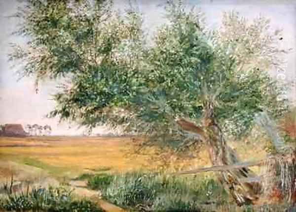 The Old Tree - view 1
