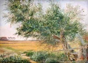 The Old Tree by Jacob Gensler