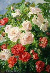 Pink Roses