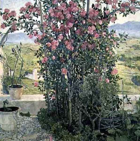 Valley in Umbria - view 1