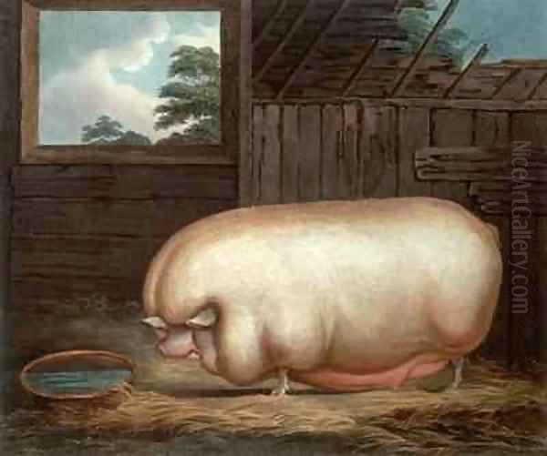 This Remarkable Animal - view 1