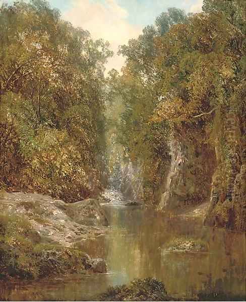 A wooded river landscape - view 1