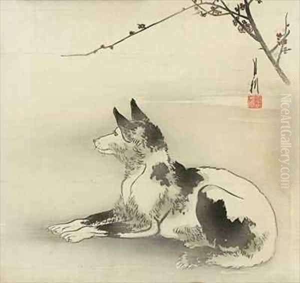 Black and white dog - view 1