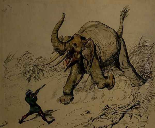 Elephant Shoot - view 1