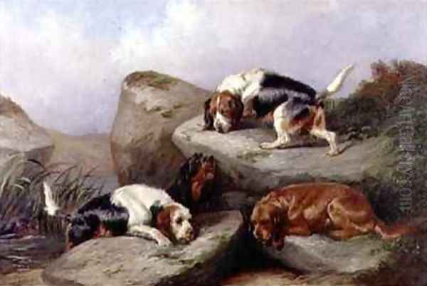 Otterhounds - view 1