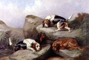 Otterhounds by Colin Graeme