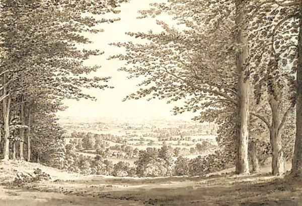 A distant view of a cottages through a wood - view 1