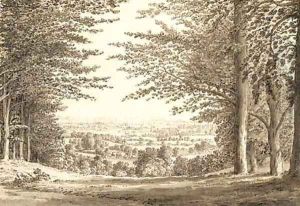 A distant view of a cottages through a wood by Samuel Hieronymous Grimm
