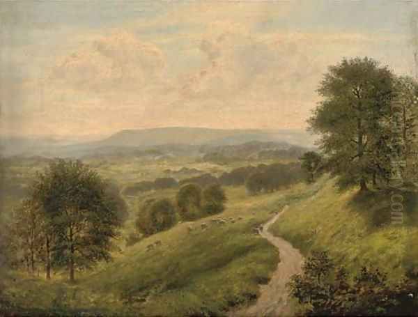 A path through a summer landscape - view 1