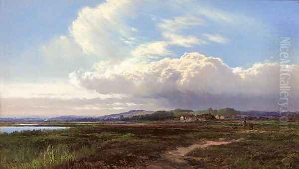 Sunshine on the heath - view 1