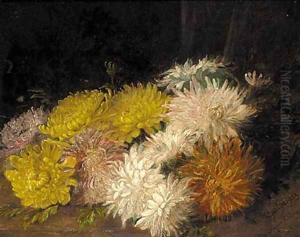 Chrysanthemums - view 1