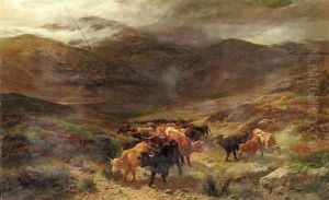 Highland cattle on the move by Henry Garland