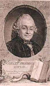 Portrait of Johann Friedrich Meckel 1724-76 by Anton Graf