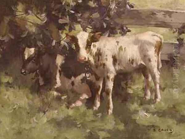 Calves Under a Tree - view 1