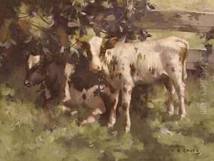Calves Under a Tree by David Gould