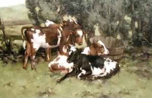 Three Calves by David Gould