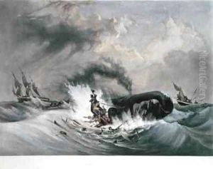 The Whale by Jean Francois Garneray