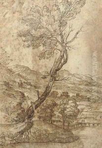 An extensive landscape with a tree by Giovanni Francesco Grimaldi