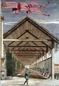 Covered Ornamental Citrus Garden from Hesperides by Giovanni Battista Ferrari by Filippo Gagliardi