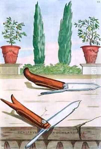 Gardening Knife - view 1