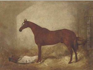 A racehorse in a stable A racehorse in a stable