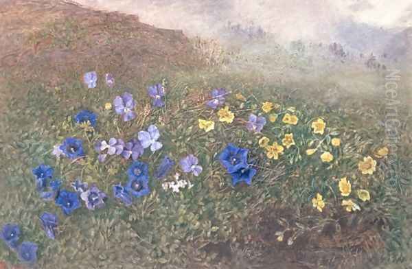 Spring Mountain Flowers - view 1