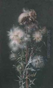 Thistledown Thistledown