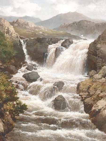A river in full spate - view 1