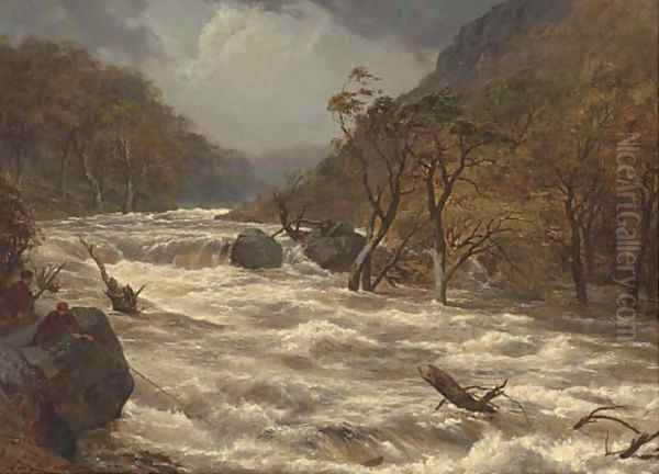 The Lludwy in full spate, North Wales - view 1