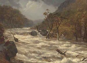 The Lludwy in full spate, North Wales by Edmund Gill