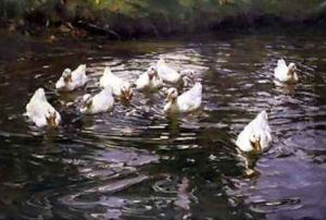 White Ducks on Water by Franz Grassel