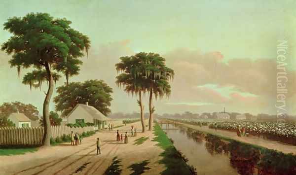 Cotton Plantation - view 1