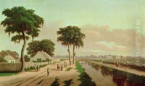 Cotton Plantation