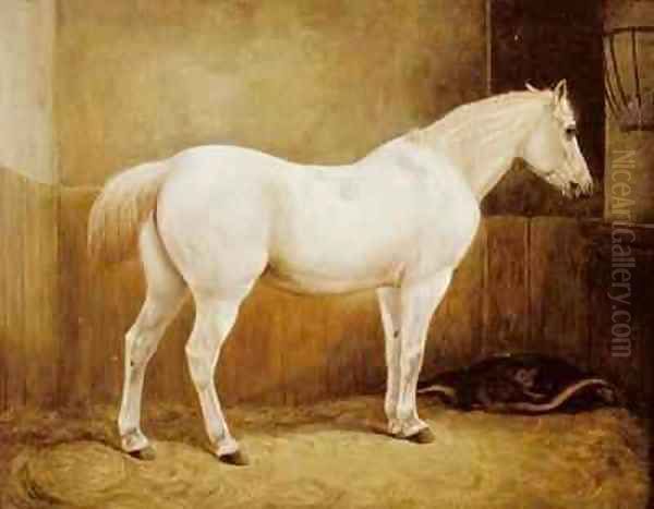 White Horse in a Stable - view 1