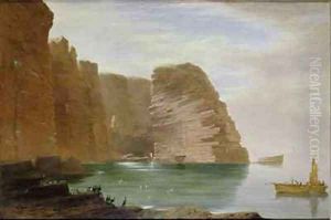 Island of Handa West Coast of Sutherland by James William Giles