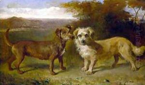 Companions by John Glass