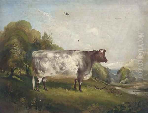 Princess, a prize bull in a landscape - view 1