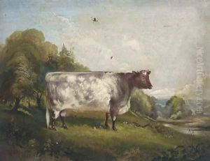 Princess, a prize bull in a landscape by Maxim Gauci