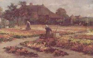 The Market Garden