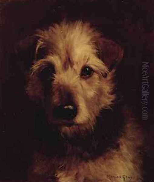 Portrait of a Terrier - view 1