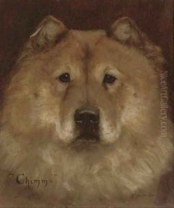 Chimmo the Chow Chow