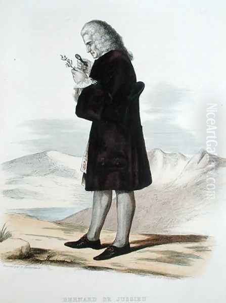 Bernard de Jussieu 1699-1777 - view 1