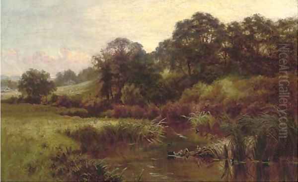 A meandering summer river - view 1