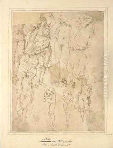 Studies after the Antique