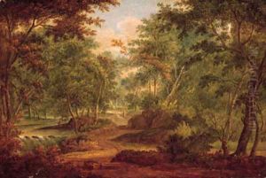 A traveller on a sandy track by a waterfall in a forest