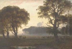 Deer grazing in a park at dusk by Nordahl Grove