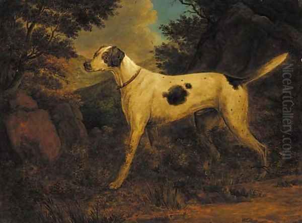 Dash, Colonel Thornton's terrier, in a wooded landscape - view 1
