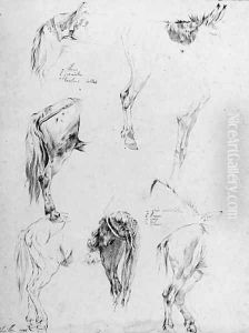 Two sheets of studies of a donkey by Jean-Franois Le Gillon